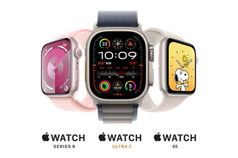 apple most expensive watch|best value apple watch 2024.